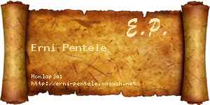 Erni Pentele névjegykártya